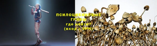 дмт Белокуриха