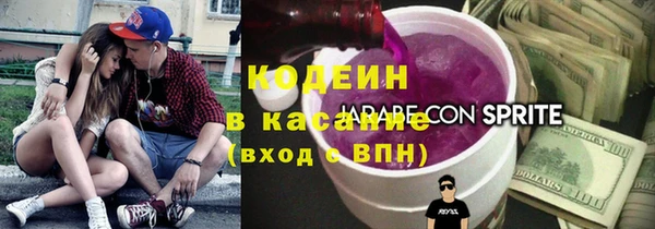 соль ск Дмитров