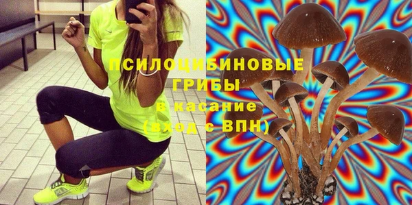 дмт Белокуриха