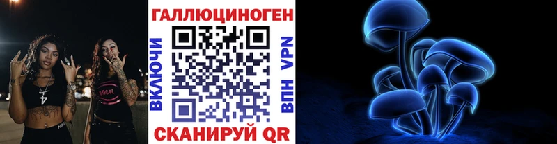 купить наркотик  Среднеуральск  Галлюциногенные грибы GOLDEN TEACHER 